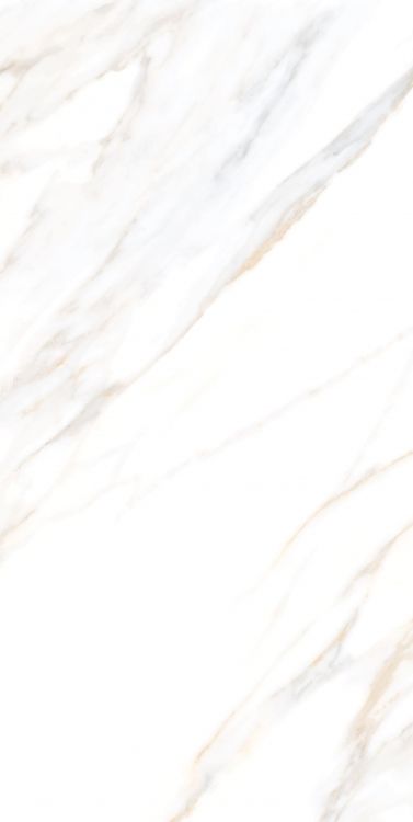 Aurum Calacatta Polished 24 x 48